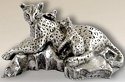 Animals - Leopards