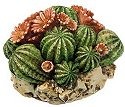 Harmony Kingdom HGCA Cactus