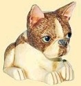 Pot Bellys PBBHO5 Bully Boston Terrier Dog