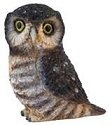Pot Bellys PBZOW11 Hawk Owl