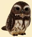 Pot Bellys PBZOW6 Pygmy Owl