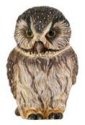 Pot Bellys PBZOW9 Boreal Owl
