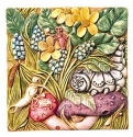 Animals - Insects
