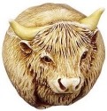 Animals - Oxen