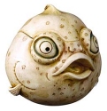 Animals - Fish