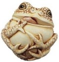 Animals - Frogs