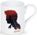 Harry Potter by Department 56 6006316 Harry Potter Mug