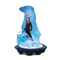 Harry Potter by Department 56 6009883 Hermione & Patronus Lightup Figurine