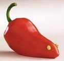 Home Grown 4006806 Red Pepper