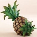 Home Grown 4007896 Pineapple Bird