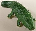 Home Grown 4009278 Cucumber Alligator