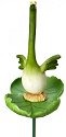 Home Grown 4017236 Green Onion