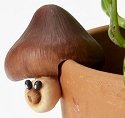 Home Grown 4017243 Mushroom Figurine