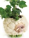Home Grown 4017248 Cauliflower
