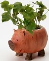Home Grown 4017250 Sweet Potato Pig
