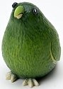 Home Grown 4017520 Avocado Parrot