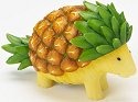 Home Grown 4020992 Pineapple Porcupine