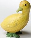 Home Grown 4022979 Squash Duckling