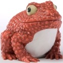 Home Grown 4027163 Lychee Nut Tree Frog