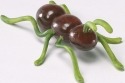 Home Grown 4027317 Black Olive Ant Mini
