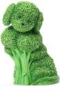 Home Grown 4036400 Broccoli Labradoodle