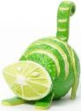 Home Grown 4038466 Lime Cat