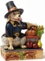 Jim Shore 4034443 Harvest Dog Pilgrim Figurine