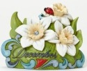 Jim Shore 4040666 December Flower Nar Figurine