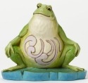 Jim Shore 4047081 Pint Lazy Frog Figurine