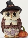 Jim Shore 4047832 Pilgrim Owl Mini Figurine