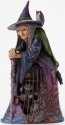 Jim Shore 4047838 Gate Scene Evil Wit Figurine