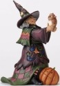 Jim Shore 4053862 Cute Witch Owl Figurine