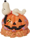 Peanuts by Jim Shore 6008966 Snoopy Laying On Carved Pumpkin Figurine