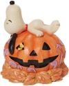 Jim Shore 6008966 Snoopy Laying On Carved Pumpkin Figurine