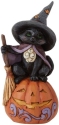 Jim Shore 6009515 Black Cat On Pumpkin Figurine