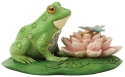 Animals - Frogs