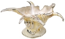 Kubla Crafts Bejeweled Enamel 1117 Spider Conch Shell Bowl