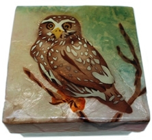 Kubla Crafts Capiz KUB 1794 Capiz Box Owl