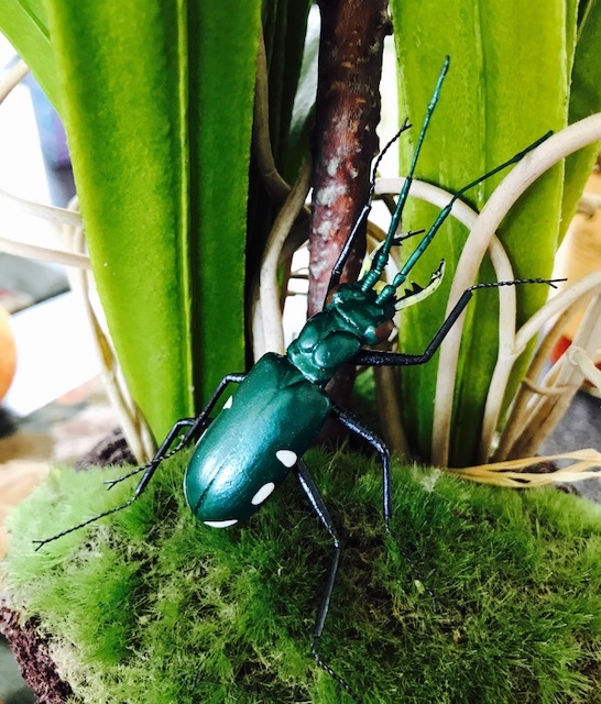 Kubla Crafts Capiz 5664 Clay and Wire Magnetic Dark Green Beetle Set of 6