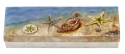 Kubla Crafts Capiz 1280 Sea Shells Long Capiz Box