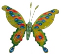 Animals - Insects - Butterflies