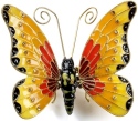 Animals - Insects - Butterflies