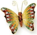 Animals - Insects - Butterflies