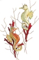 Kubla Crafts Capiz 0180- Capiz Seahorse Wall Decor