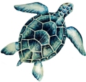 Kubla Crafts Capiz 0243B Extra Large Blue Capiz Sea Turtle Wall Decor