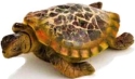 Kubla Crafts Capiz 0335- Mosaic Sea Turtle Figurines Set of 3