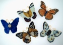 Kubla Crafts Cloisonne KUB 1 4374M Cloisonne Butterflies Magnet Set of 4