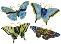 Animals - Insects - Butterflies