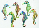 Animals - Seahorses