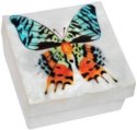 Kubla Crafts Capiz 1027 Butterfly Capiz Box